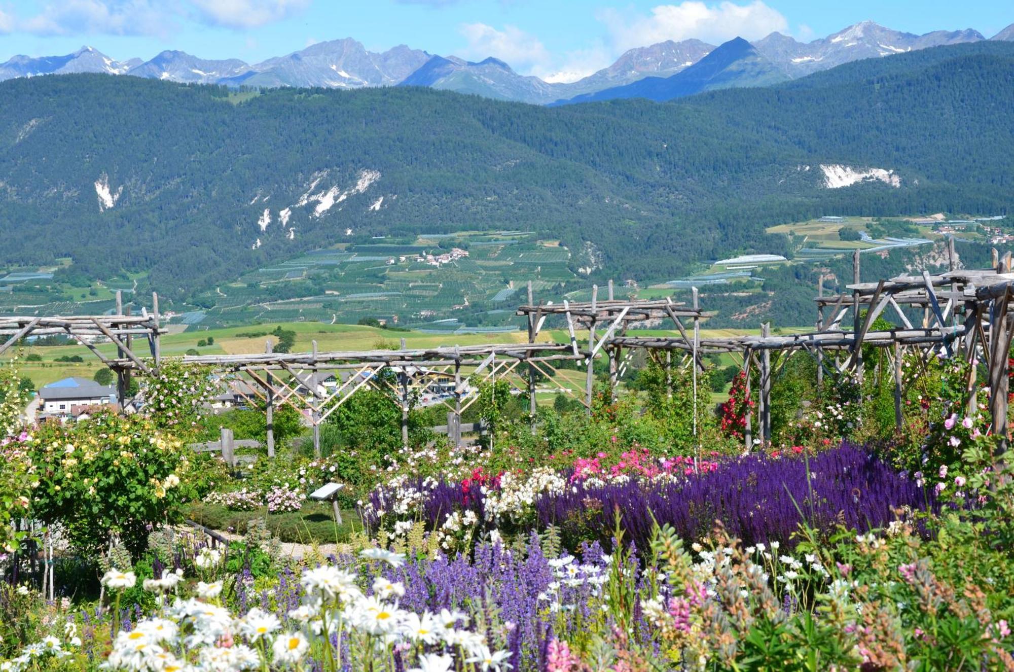Wellness E Resort Stella Delle Alpi Ronzone Exterior photo