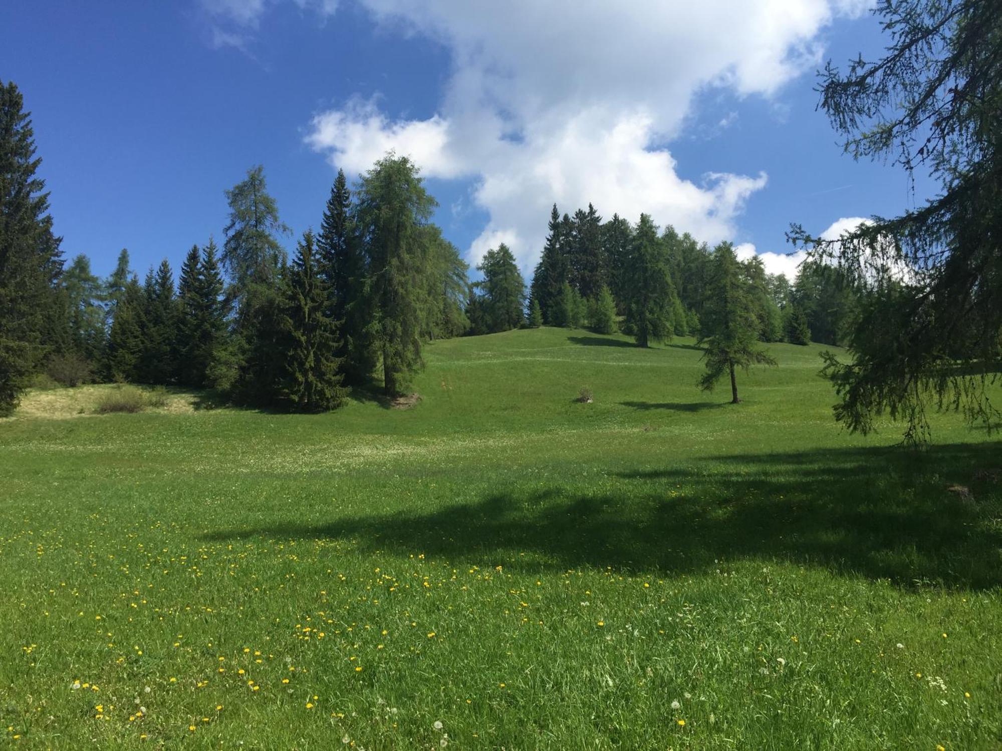 Wellness E Resort Stella Delle Alpi Ronzone Exterior photo